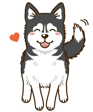 シベリアンハスキー Images Browse 295 Stock Photos Vectors And Video Adobe Stock