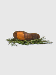 Boot on fir branches. Photo of shoes on a white background. 