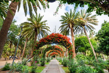 park with flower arches in Santa Cruz. Tenerife. Canary Islands.