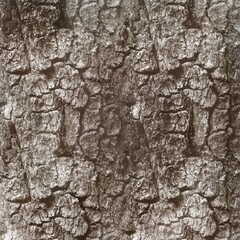 Abstract dark brown background with old tree texture 