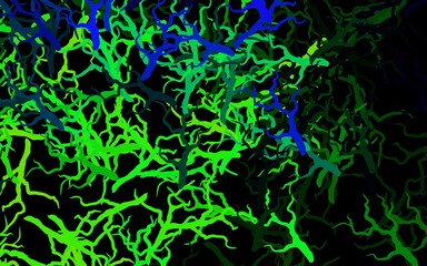 Dark Multicolor vector doodle texture with branches, leaves.