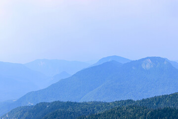 Obraz premium Blue mountains covered with forests. Beautiful mountain landscape. Nature background 