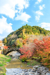 Fototapeta na wymiar 秋の秋月目鏡橋　福岡県朝倉市　AkizukiMegane bridge in autumn. Fukuoka-ken Asakura city