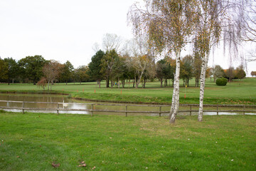 Obraz premium golf club