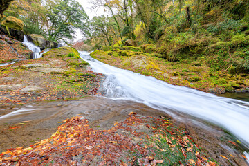 秋の菊池渓谷　四十三万滝　熊本県菊池市　Kikuchi Gorge in autumn. Yonju-sanma...