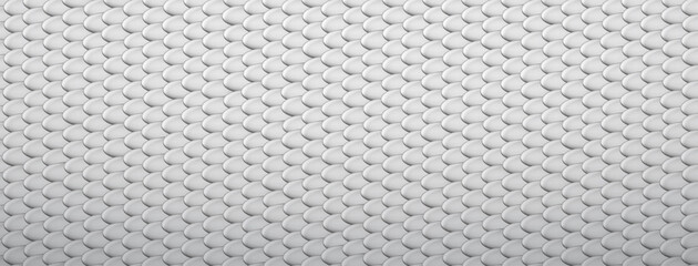 Abstract background of snake, dragon or fish scales in white and gray colors. Squama texture. Roof tiles. © Olga Moonlight