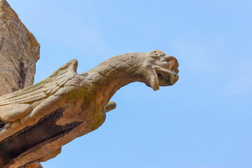 Gargoyle (chimera) on the facade of the Saint-Jacques cathedral of Dieppe, Normandy. Detail of...