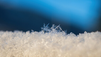 snow flakes and glitter snow with blue background, the sky