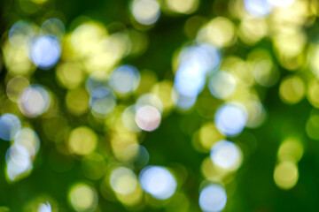 Obraz premium Abstract, nature bokeh background, green foliage of the forest. Green nature in blurry style for creative design.