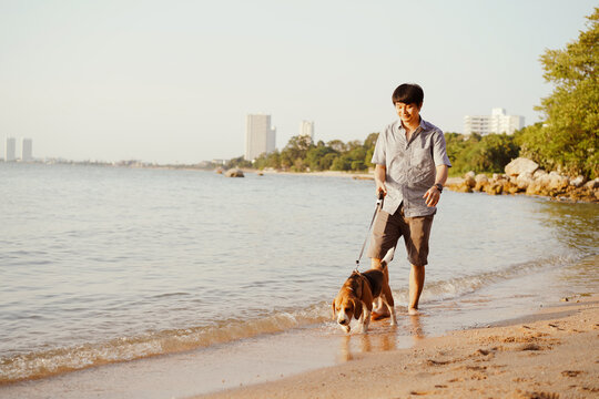 Man with beagle dog on the beach , man lead dog running in everning of summer,Chonburi,Thailand.