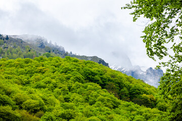 landscape in the morning