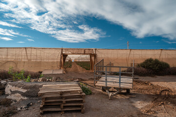 plantations in Galdar. Gran Canaria. Canary Islands. Spain
