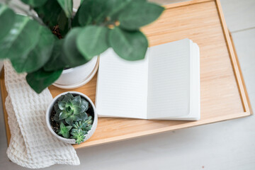 Notepad mockup on wooden table. Zamiokulkas and succulents in pots. Scandinavian interior