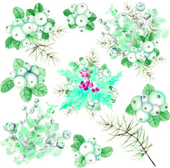 Vector set .New Year bouquet with eucalyptus,cotton boxes and white berries on a white background,watercolor drawing  © Елена Устьянцева