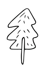 Vector Hand Drawn Sketch Pine Tree