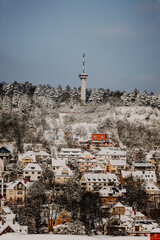 Th&uuml;ringen- Jena im Winter 