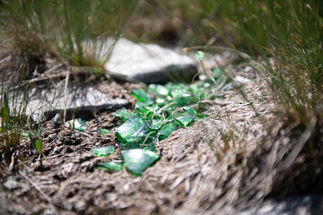 Glasscherben in einer Wiese in den Bergen.