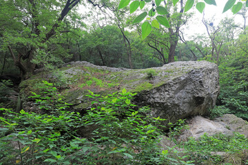 tourists on giant rocks at the Beijing Botanical Garden