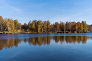 Fototapeta na wymiar Autumn on a forest lake is in the midst of its beauty. The birches on the shore are colored in yellow-orange tones and are effectively reflected in the blue water. Harmony in nature. Russia, Ural 