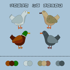 worksheet vector design, challenge to connect the  duck with its color. Logic game for children.