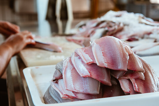 Fischfang Bodensee, Vorarlberg