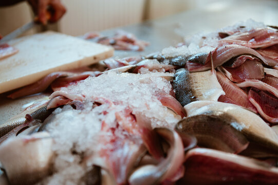 Fischfang Bodensee, Vorarlberg