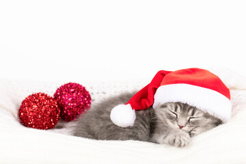 sleepy gray kitten with red hat on white background