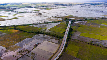 Pinrang, Sulawesi Selatan Indonesia.
Photos of rice fields that will soon be planted.
19 December 2021