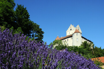 Meersburg am Bodensee, Burg im Sommer