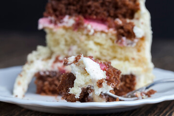 piece of cake made of vanilla and chocolate