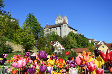 Meersburg am Bodensee, Burg im Frühling
