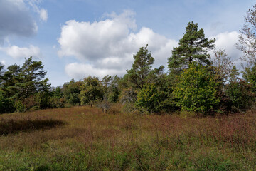 Landschaft auf dem Michelsberg bei Münnerstadt im Biosphärenreservat Rhön, Unterfranken, Bayern, Deutschland