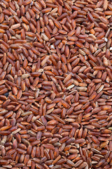 raw uncooked red rice, unpeeled