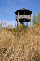 Die Mainaue bei Augsfeld, mit dem Großen Wörthsee und dem Sichelsee, Stadt Haßfurt, Landkreis Hassberge, Unterfranken, Franken, Bayern, Deutschland
