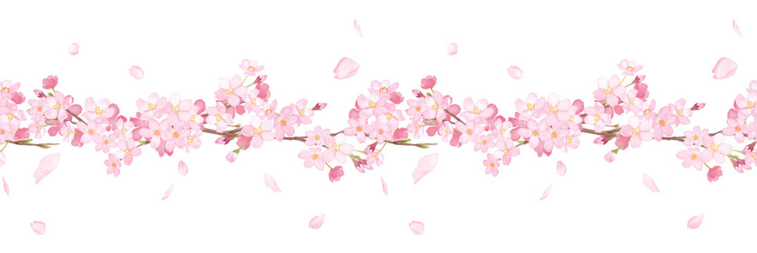 桜の水彩イラスト。横ライン装飾。シームレスパターン。
