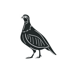 Partridge Icon Silhouette Illustration. Bird Pheasant Vector Graphic Pictogram Symbol Clip Art. Doodle Sketch Black Sign. - obrazy, fototapety, plakaty