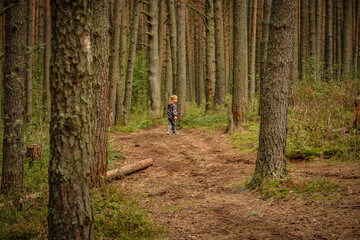 child in a coniferous forest, a pine forest, a child among tree trunks in the forest