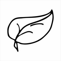 Hand drawn leaf a doodle element for design concept.