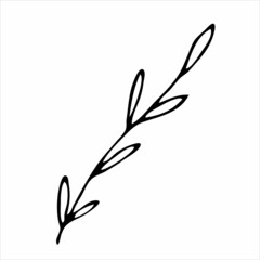 Hand drawn twig with leaves doodle element for design concept.