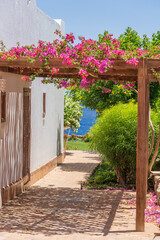 Parking for a car in the yard near the house in the form of an arch with garden flowers, Sharm El Sheikh, Egypt, Africa