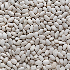 Seamless texture of background of white beans. Top view