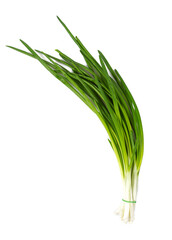 twig of onion isolated on white background