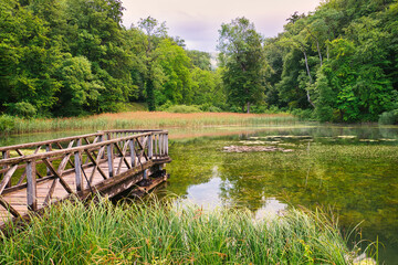 One of the ponds of the Ermitage Arlesheim, Basel-Country, Switzerland, with a wooden jetty.