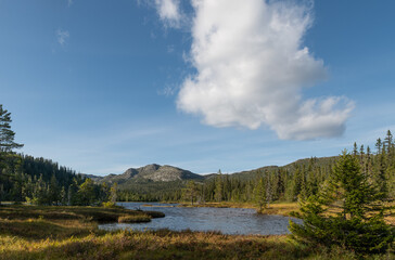 white cloud over mountainl ake with pines around it