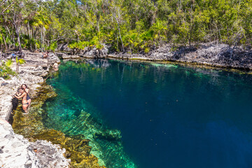 Forest with a cenote at Giron on Cuba