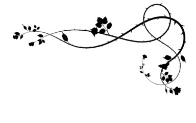 pattern of flowers of a rose and its leaves scroll