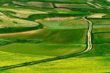 Piano Grande di Castelluccio, mountain and rural landscape