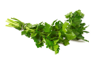parsley isolated
