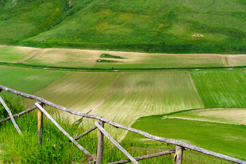 Piano Grande di Castelluccio, mountain and rural landscape