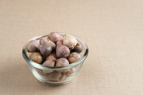 Soloknoblauch Bilder – Durchsuchen 920 Archivfotos, Vektorgrafiken und ...